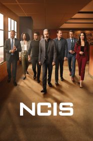 NCIS : Enquêtes Spéciales: Season 21