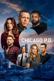 Chicago Police Department: Season 8