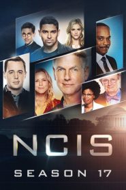 NCIS : Enquêtes Spéciales: Season 17