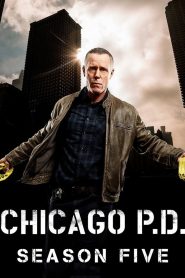 Chicago Police Department: Season 5