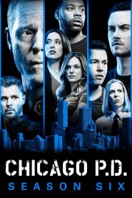 Chicago Police Department: Season 6