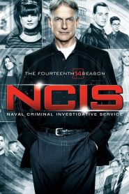 NCIS : Enquêtes Spéciales: Season 14