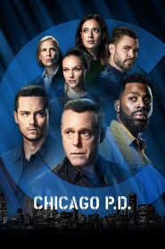 Chicago Police Department: Season 9